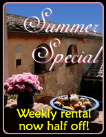 Summer Special
